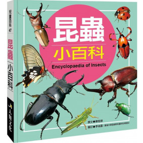 兒童百科 昆蟲小百科(典藏新版)