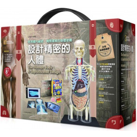科學盒子 設計精密的人體