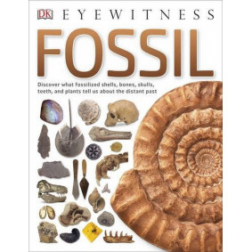 Eyewitness Fossil
