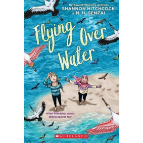 FLYING OVER WATER