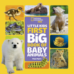 LITTLE KIDS BIG BOOK OF BABY ANIMALS