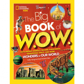 THE BIG BOOK OF W.O.W.