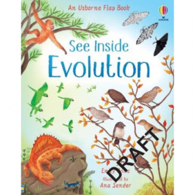 SEE INSIDE EVOLUTION