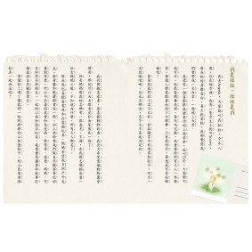 hover image