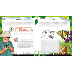 hover image