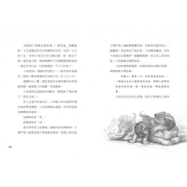 additional image