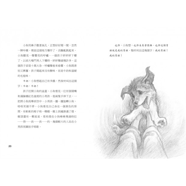 additional image