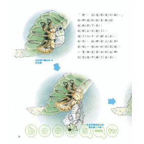 hover image
