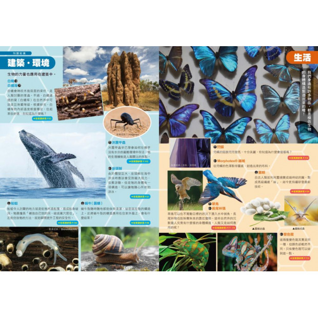 哆啦A夢科學任意門23：生物超能模擬器// 卓閱城ReadMall (香港學校購書