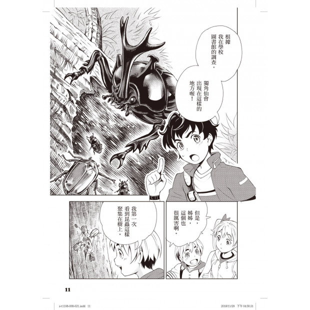 additional image