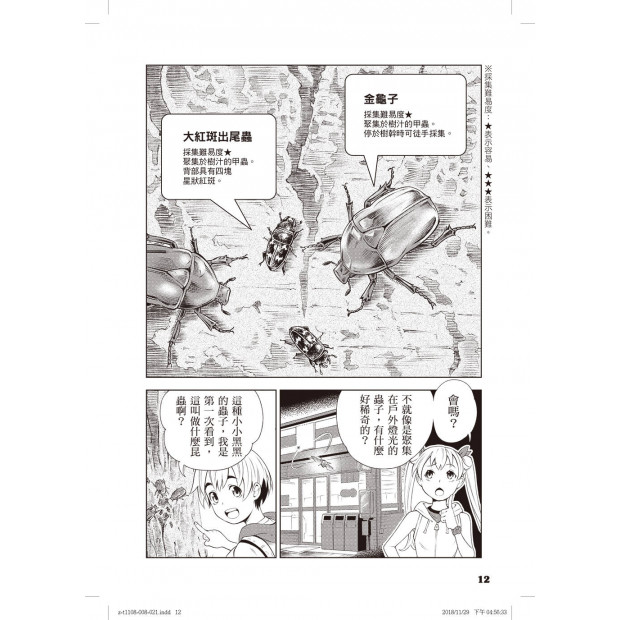 additional image