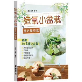 造氧小盆栽踢走髒空氣