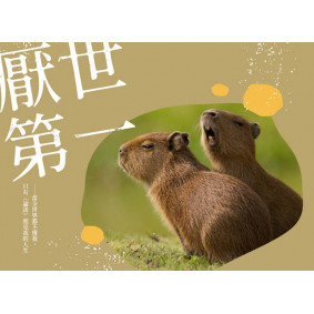 hover image