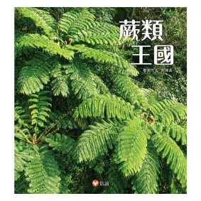 蕨類王國