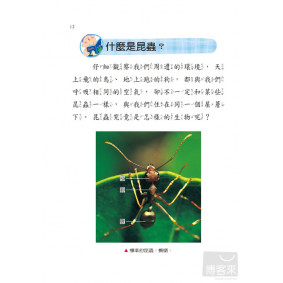 hover image