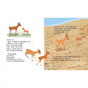 hover image