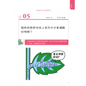 hover image