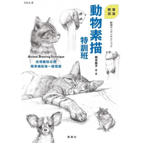 動物素描特訓班