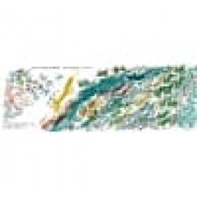 hover image