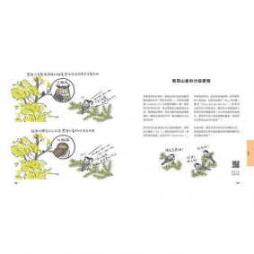 hover image