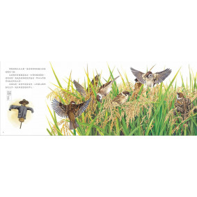 hover image