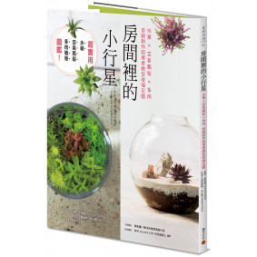 房間裡的小行星：水草x空氣鳳梨x多肉，自組創作超療癒微型玻璃花園