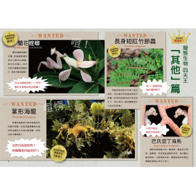 hover image