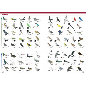 hover image