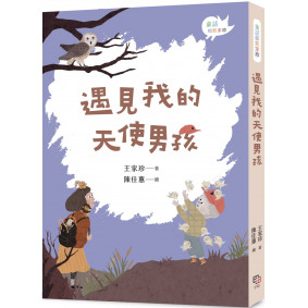 遇見我的天使男孩