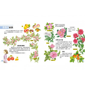hover image