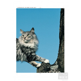 hover image