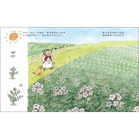 hover image