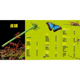 hover image