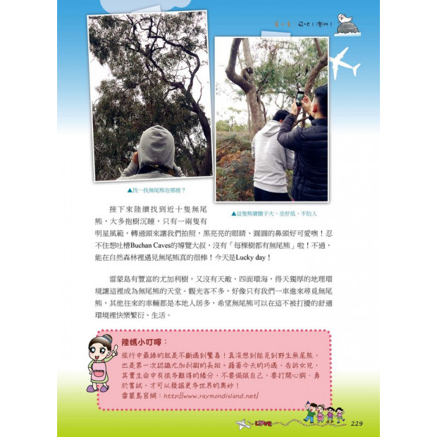 additional image
