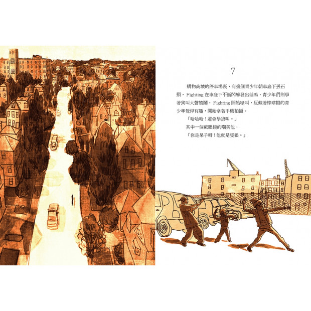 additional image