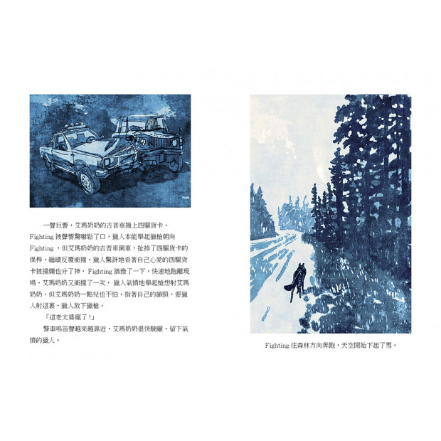 additional image